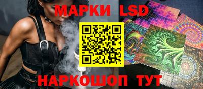 МДПВ Рузаевка