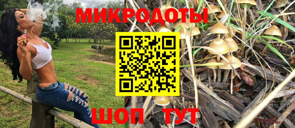Псилоцибиновые грибы MAGIC MUSHROOMS  Вход с VPN  Новосибирск 