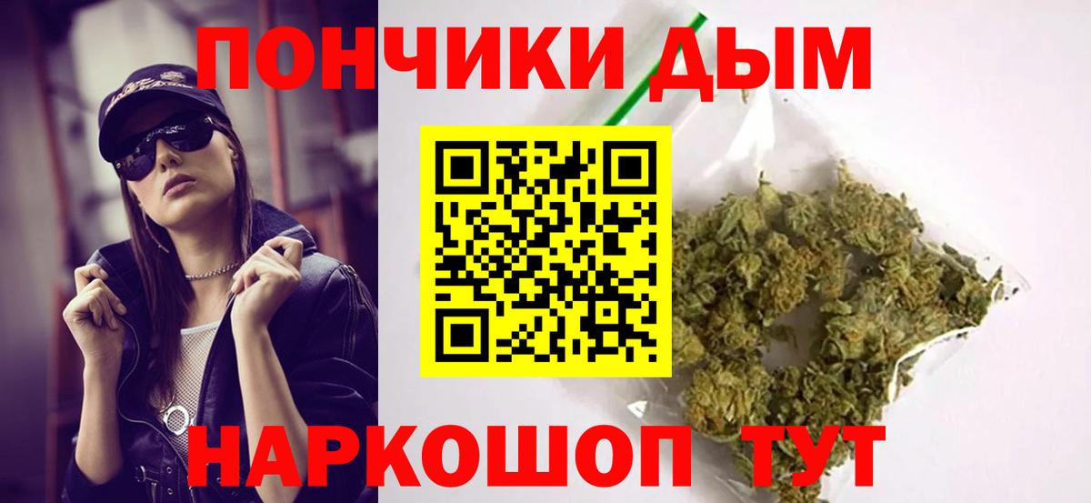 Каннабис ГИДРОПОН  Бошки Шишки Ganja  Новосибирск  Вход с VPN  Каннабис семена 